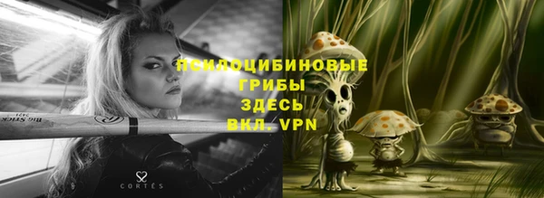 стафф Армянск