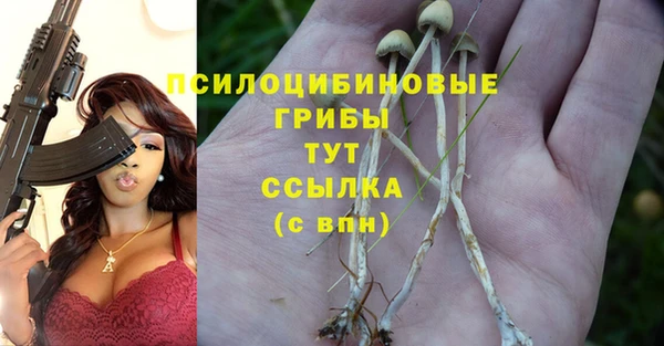 соль курить ск Аркадак